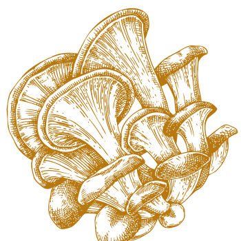 Unique natural support for strengthening the body and mind