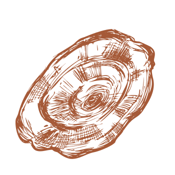 Step into a life of vitality and lasting strength