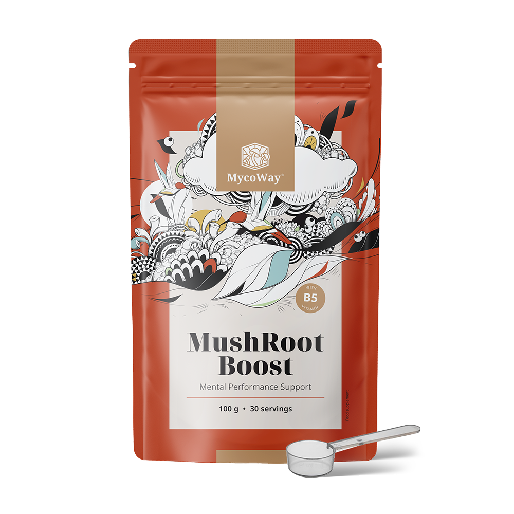 MushRoot Boost - drink for mental performance.