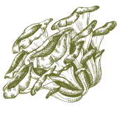 Take care of your body with the gifts of nature