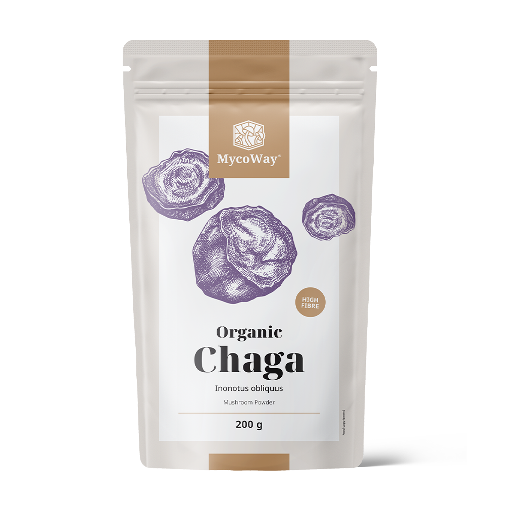BIO Chaga in powder.