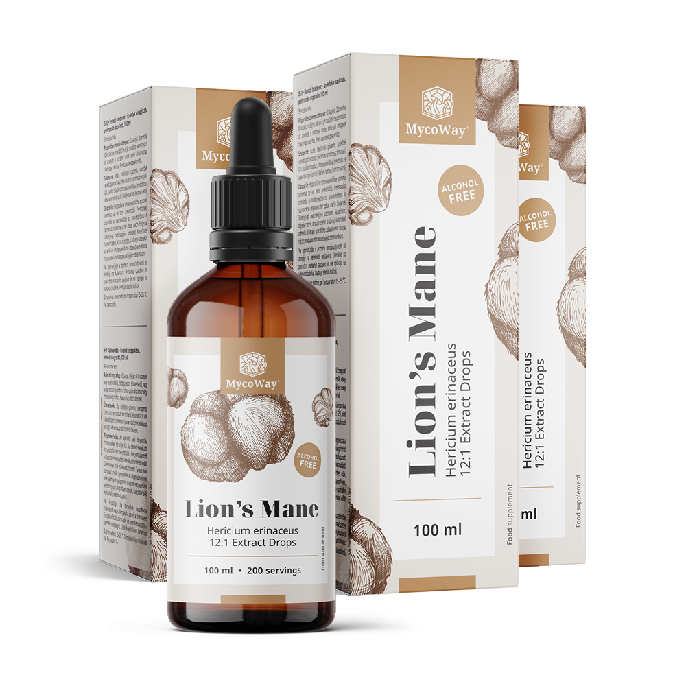 Lion's Mane – Extract in Drops