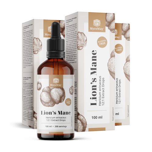 3x Lion's Mane – Extract in Drops, total 300 ml
