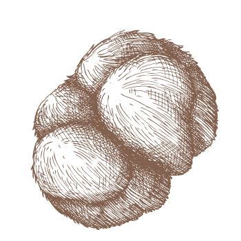 Versatile support for days full of challenges