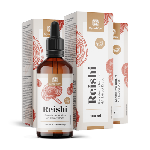 3x Reishi – Extract in Drops, total 300 ml