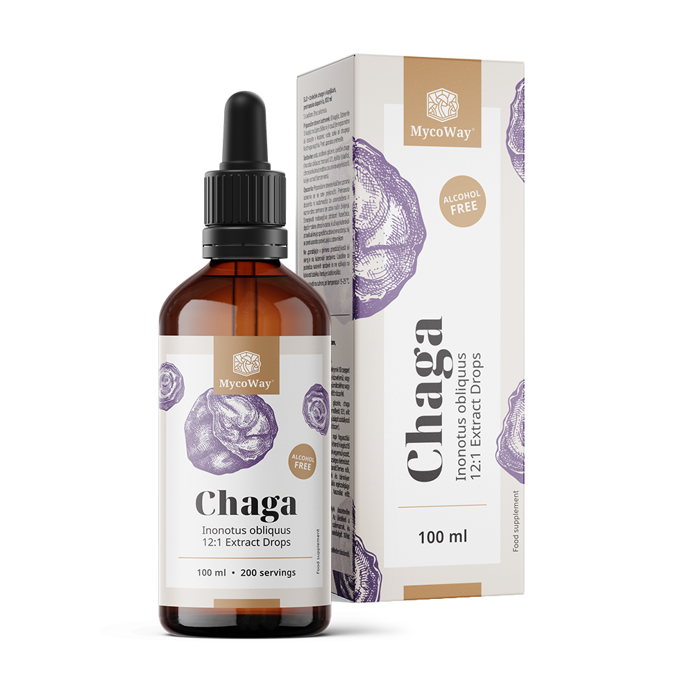Chaga - extract in drops.