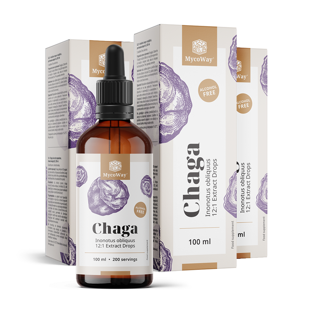 Chaga – Extract in Drops
