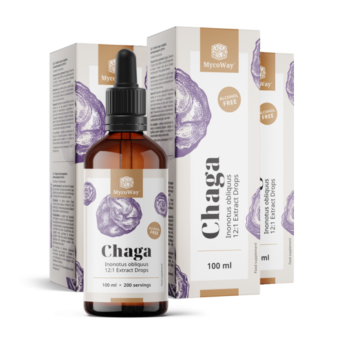 3x Chaga – Extract in Drops, total 300 ml