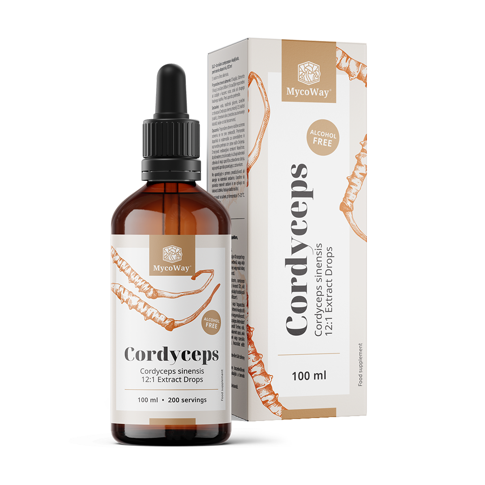 Cordyceps - extract in drops