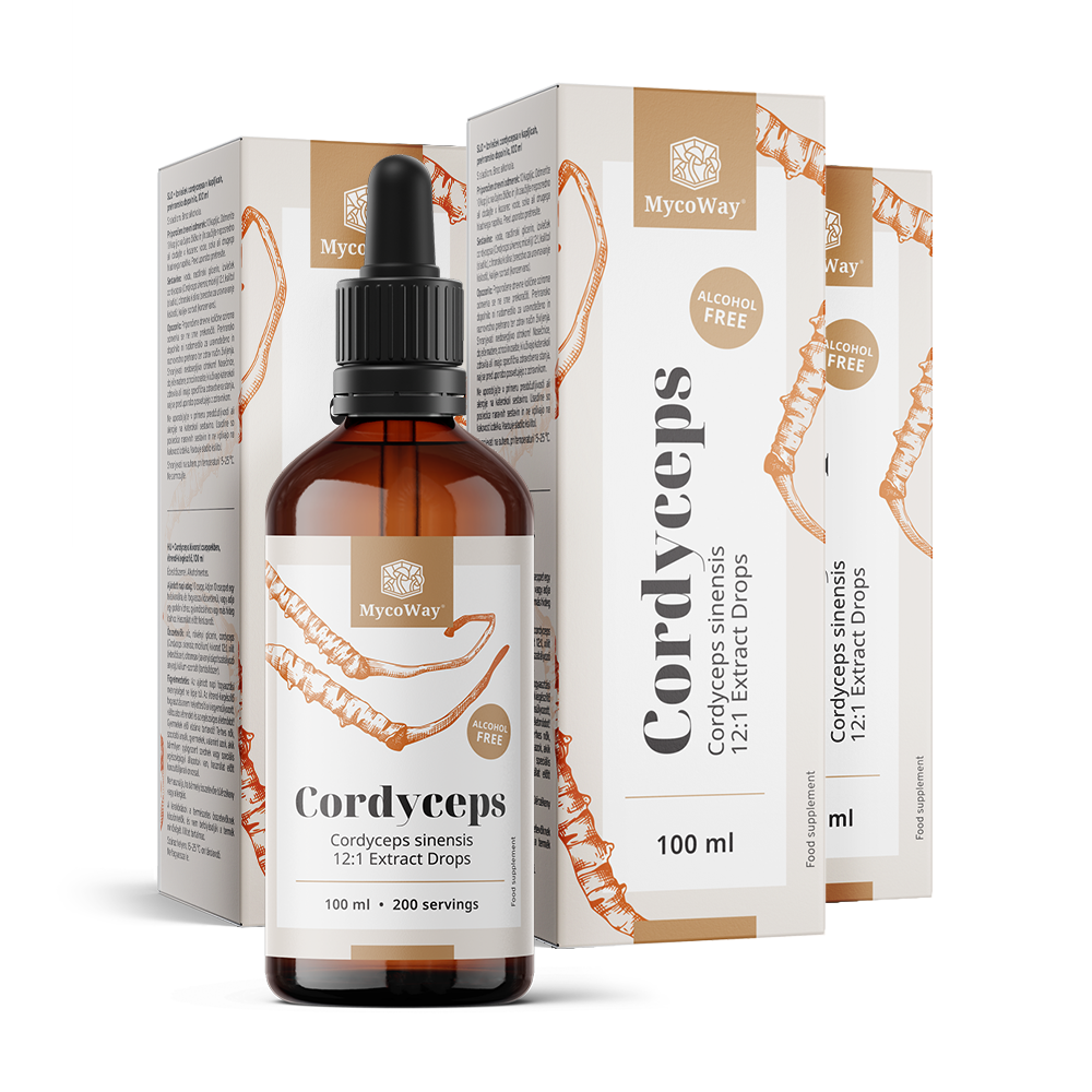 Cordyceps - extract in drops